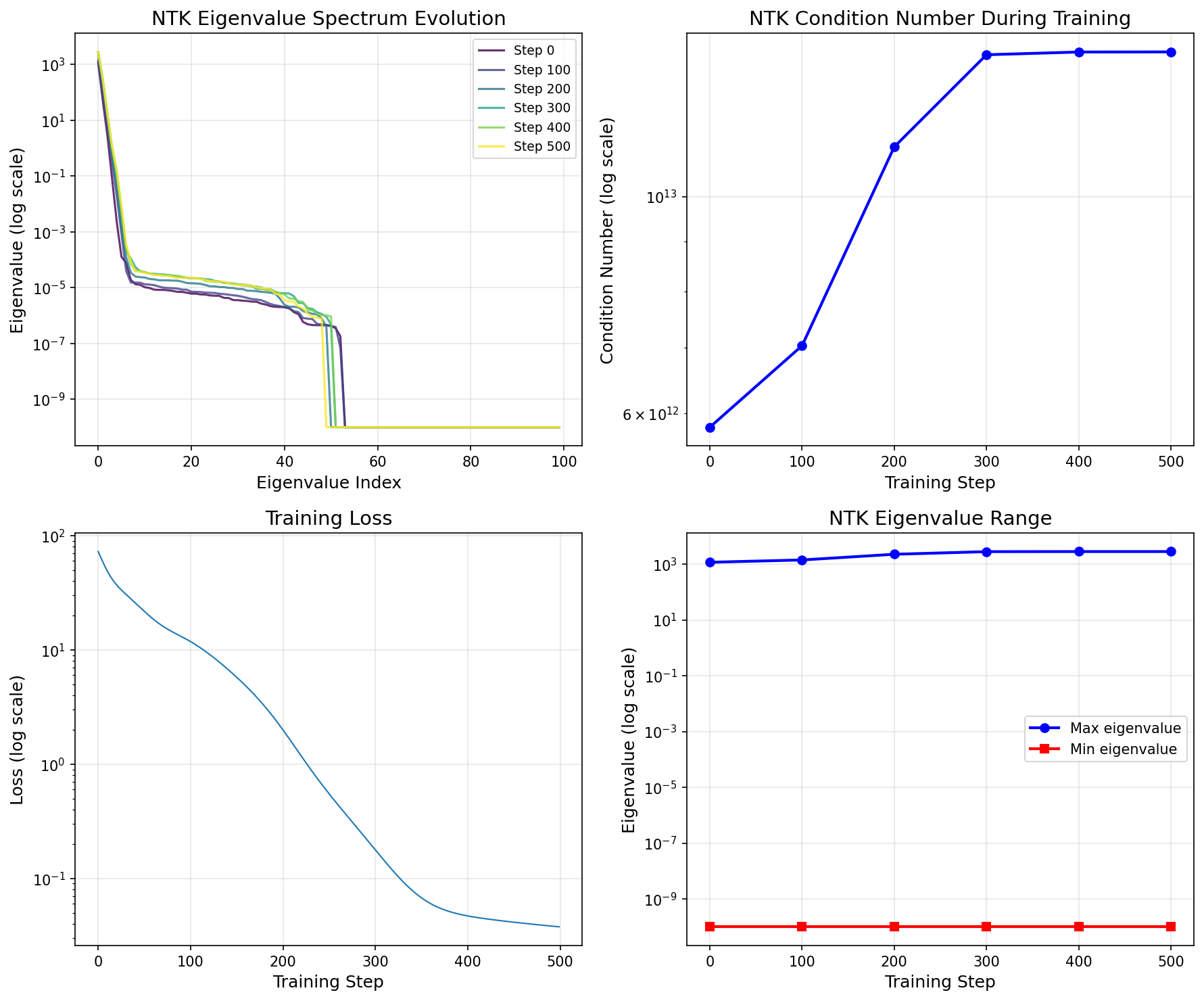NTK Evolution
